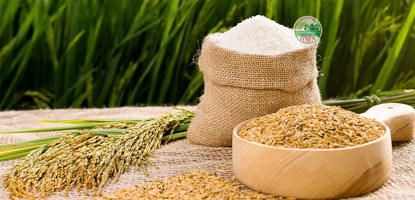 Rice products, Rice exports in Vietnam 0292 3681171